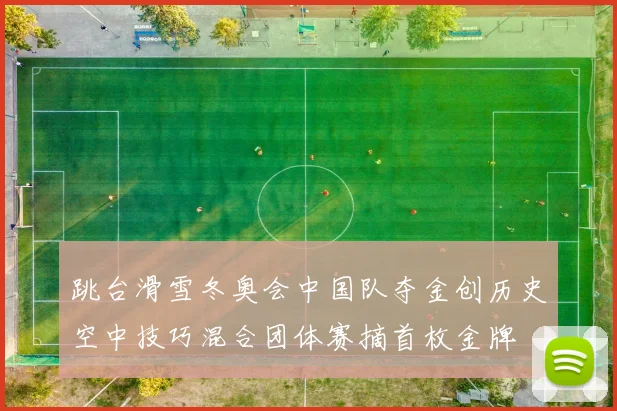 跳台滑雪冬奥会中国队夺金创历史空中技巧混合团体赛摘首枚金牌