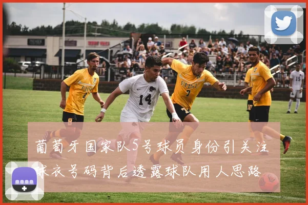 葡萄牙国家队5号球员身份引关注 球衣号码背后透露球队用人思路