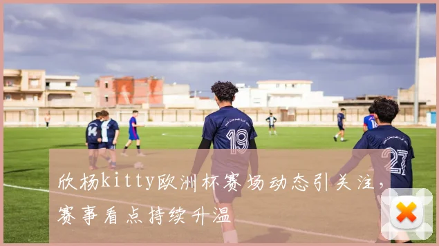欣杨kitty欧洲杯赛场动态引关注,赛事看点持续升温