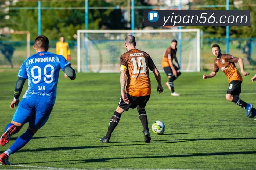 开云手机网页入口品牌故事